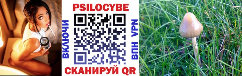 Псилоцибиновые грибы MAGIC MUSHROOMS  Баксан 
